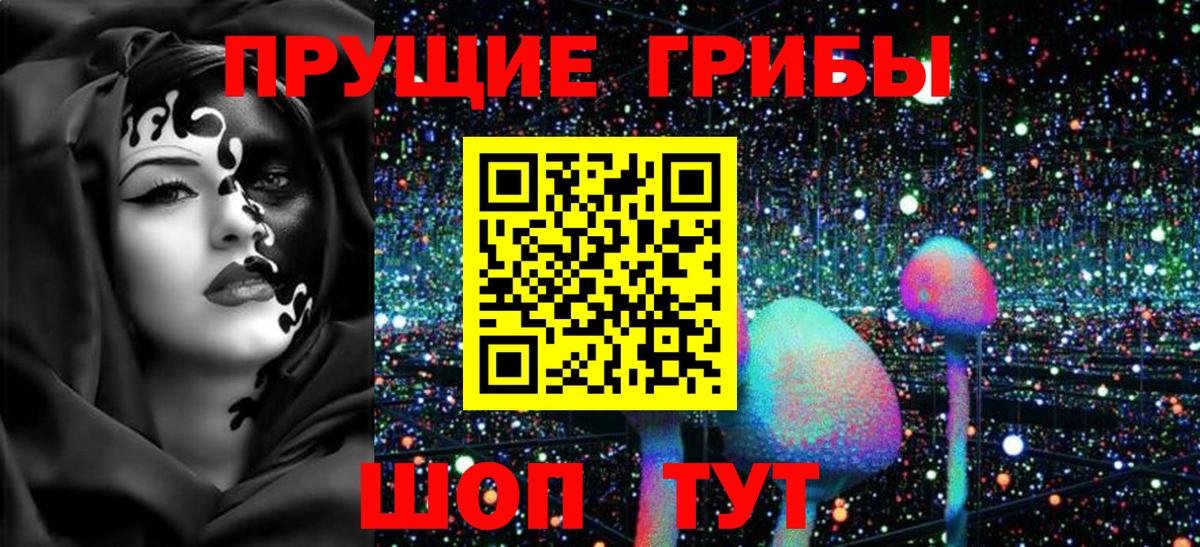 Галлюциногенные грибы мицелий  Галлюциногенные грибы ЛСД  Вход с VPN  Славгород 