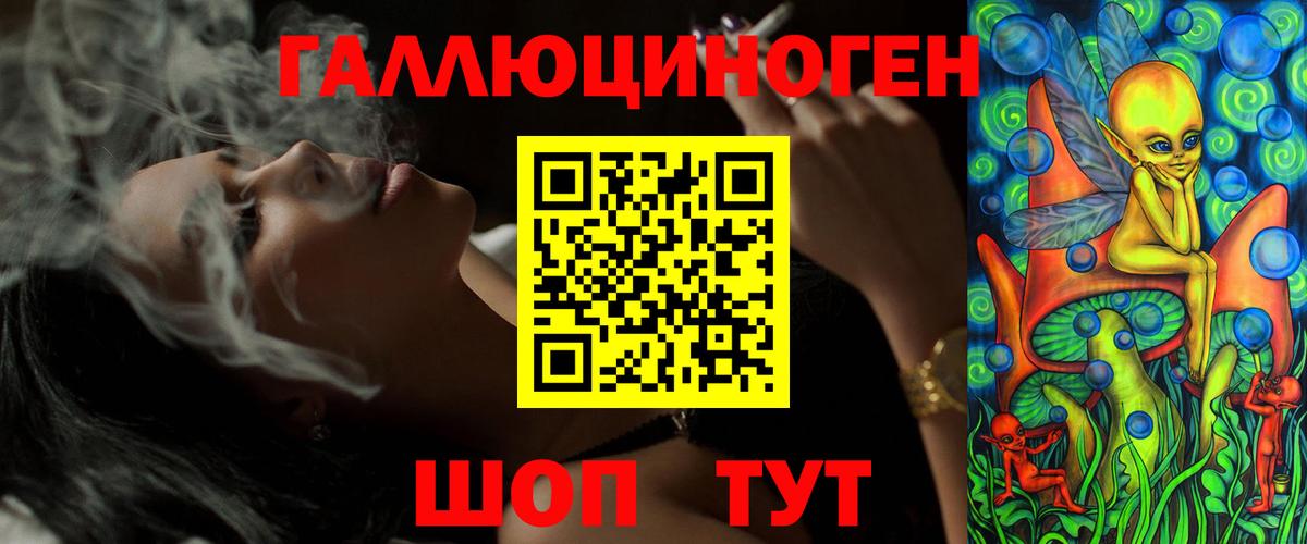Галлюциногенные грибы Psilocybine cubensis Славгород
